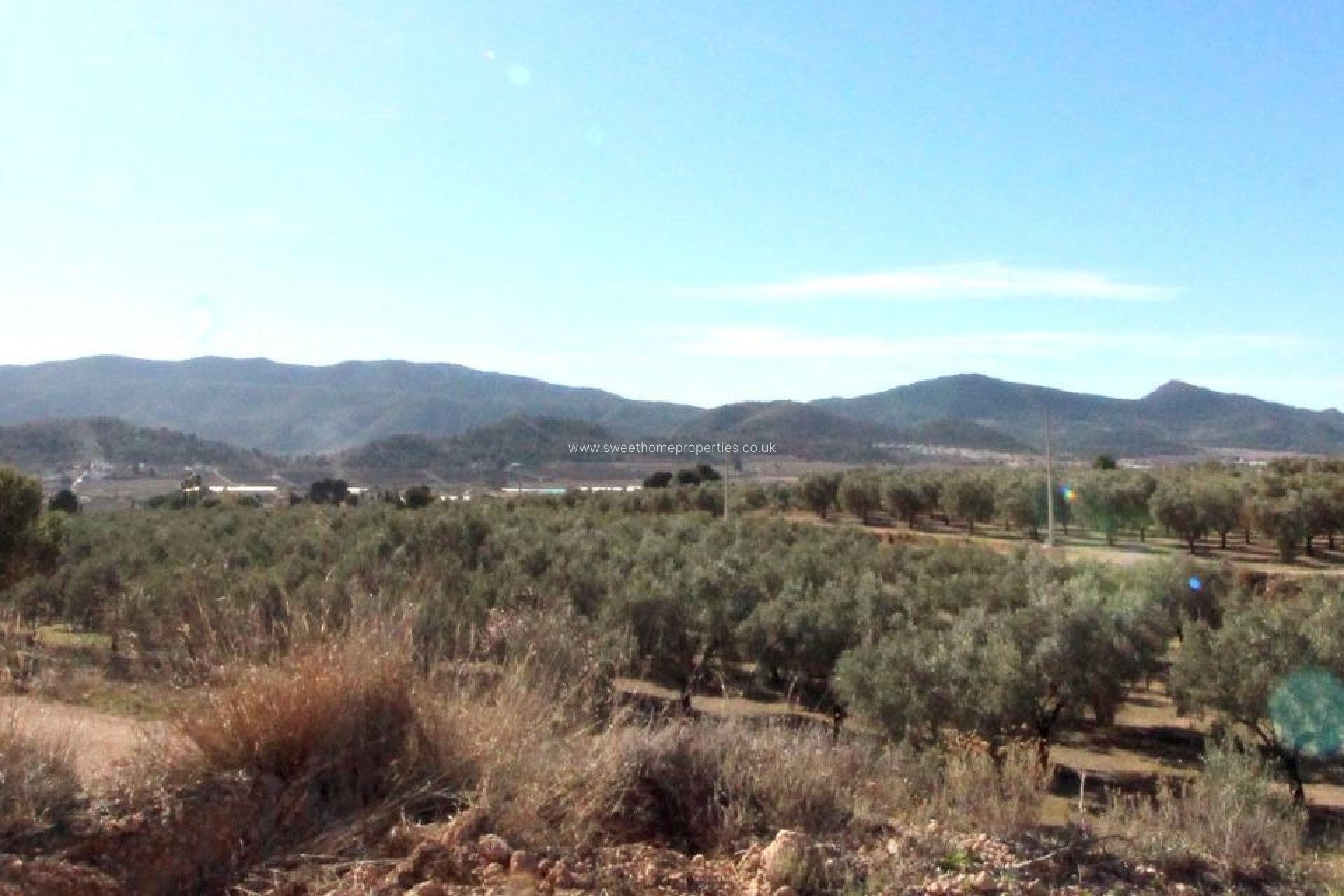 Resale - Plot - Hondon De Las Nieves - La solana