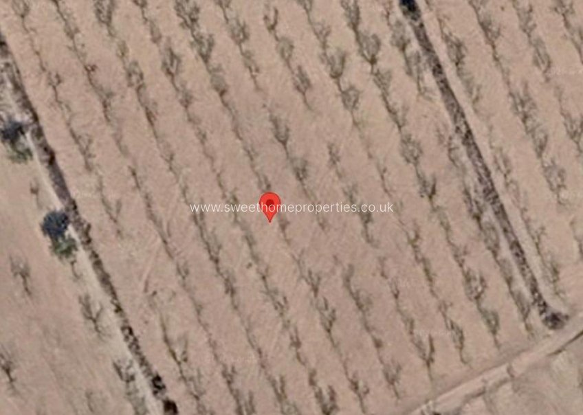 Resale - Plot - Hondon De Las Nieves - Partida EL REBALSO
