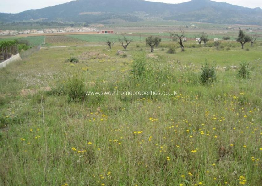 Resale - Plot - Hondon De Las Nieves - REBALSO
