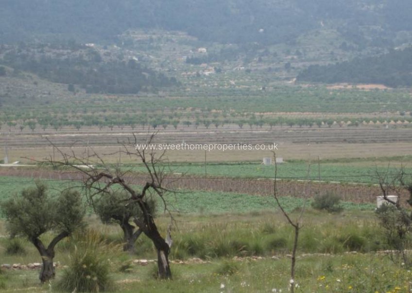 Resale - Plot - Hondon De Las Nieves - REBALSO