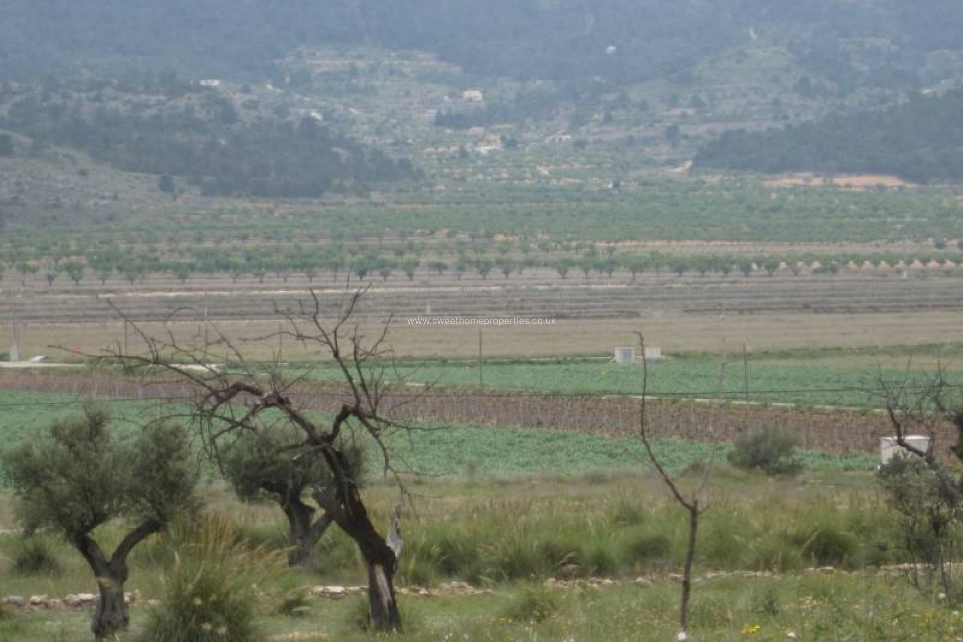 Resale - Plot - Hondon De Las Nieves - REBALSO