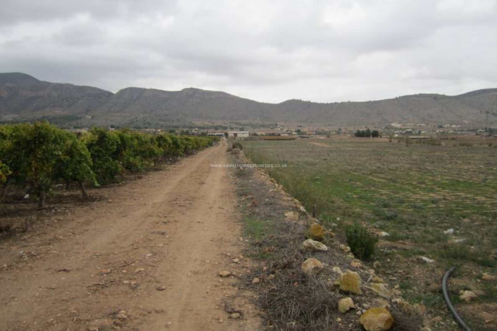 Resale - Plot - Hondon De Las Nieves - SIMOLA