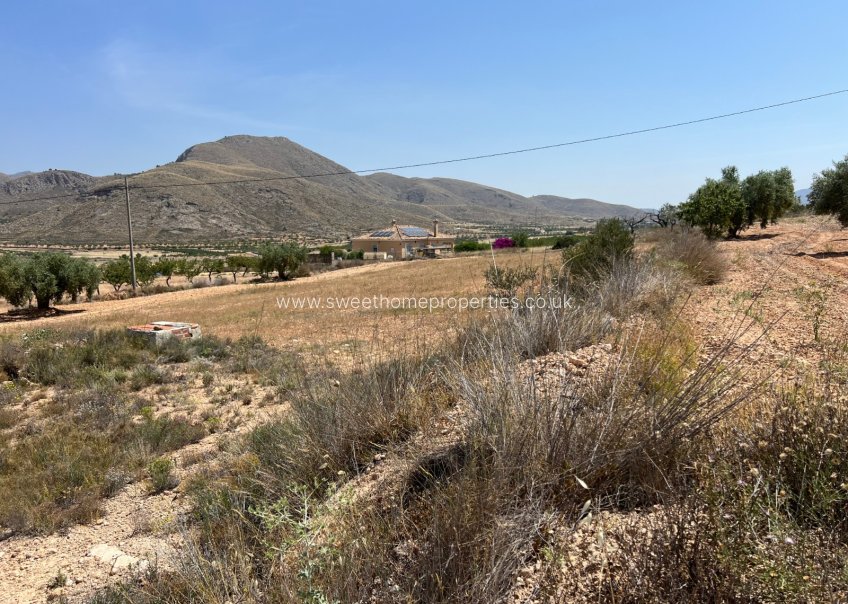 Resale - Plot - Hondon De Los Frailes - Barbarroja