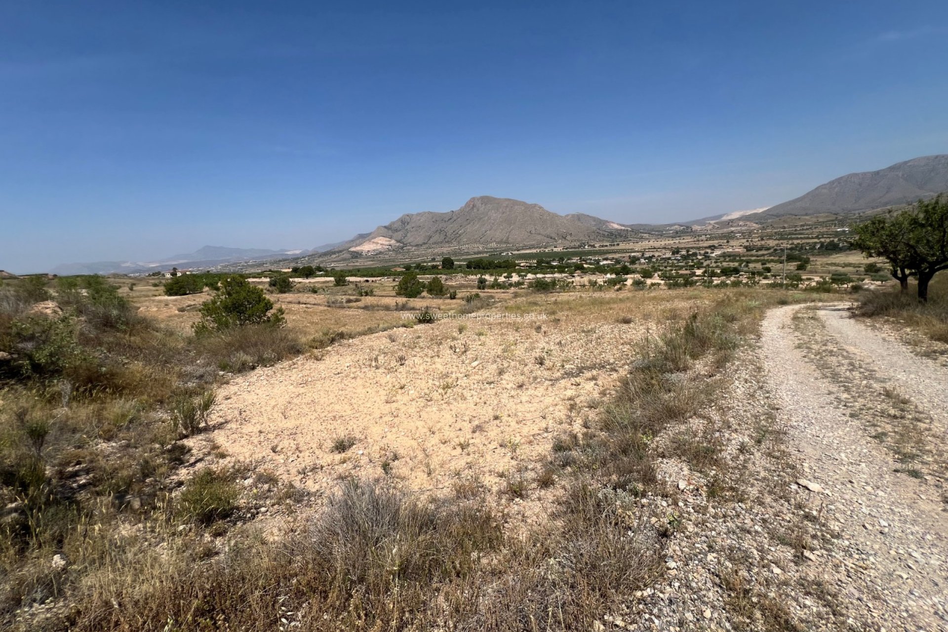 Resale - Plot - Hondon De Los Frailes - Barbarroja