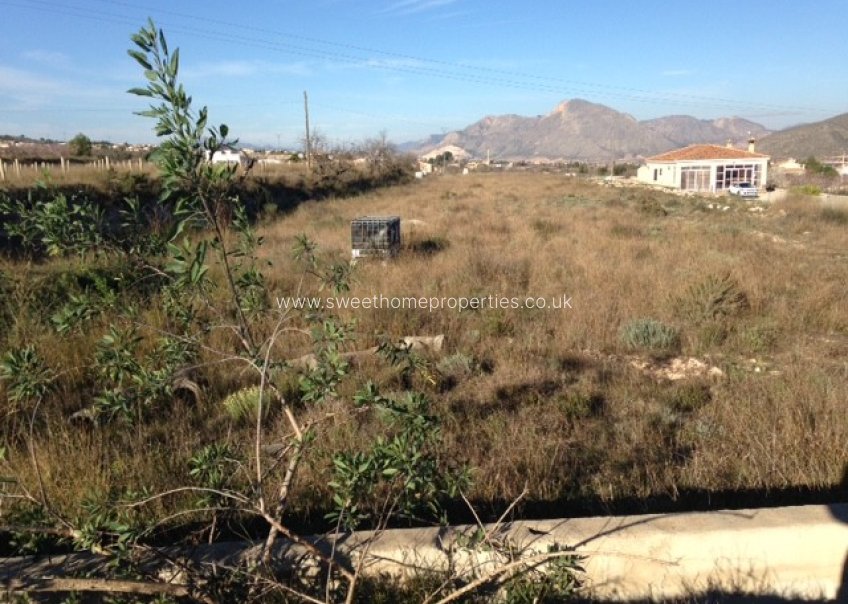 Resale - Plot - Hondon De Los Frailes