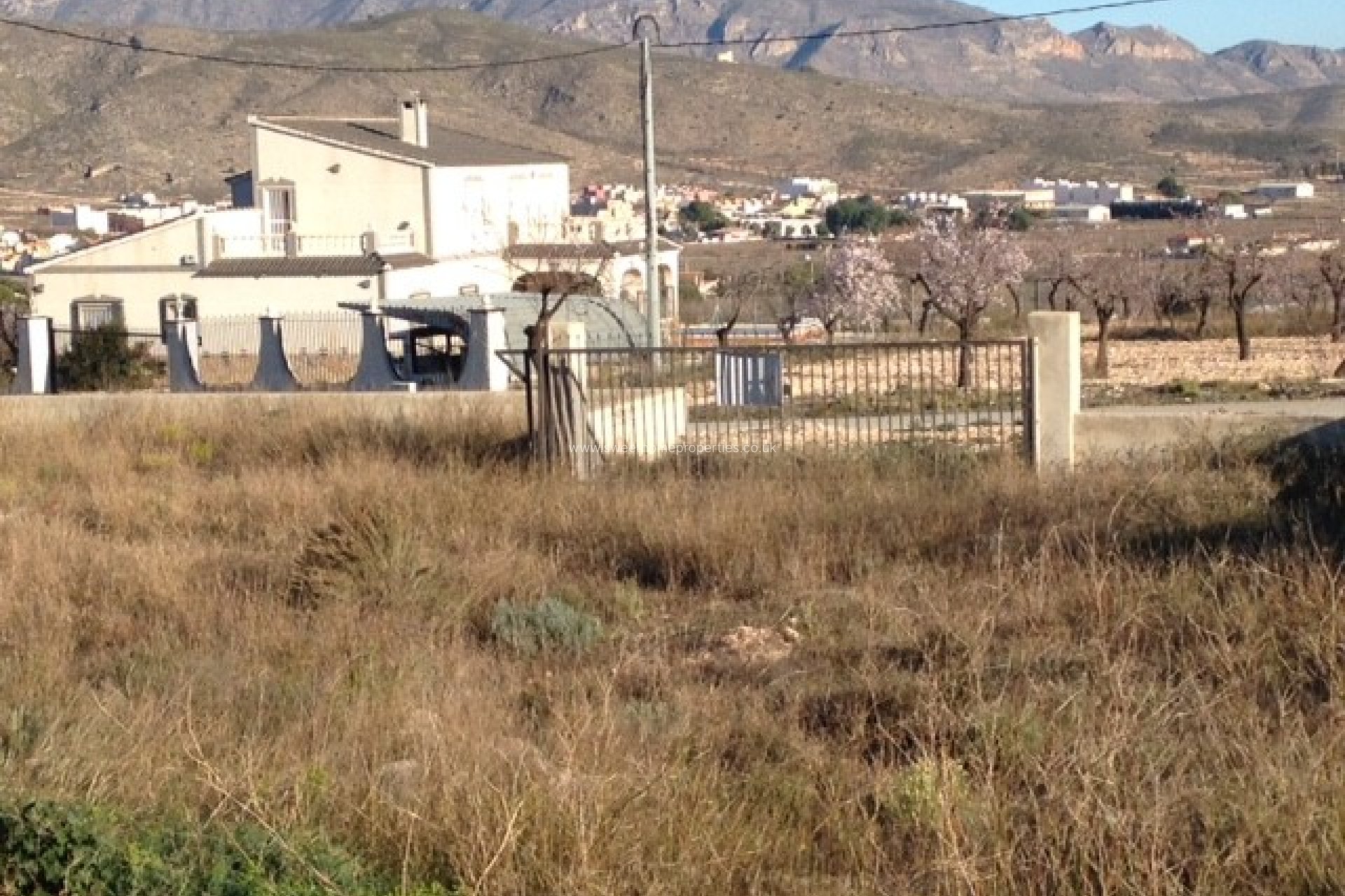 Resale - Plot - Hondon De Los Frailes