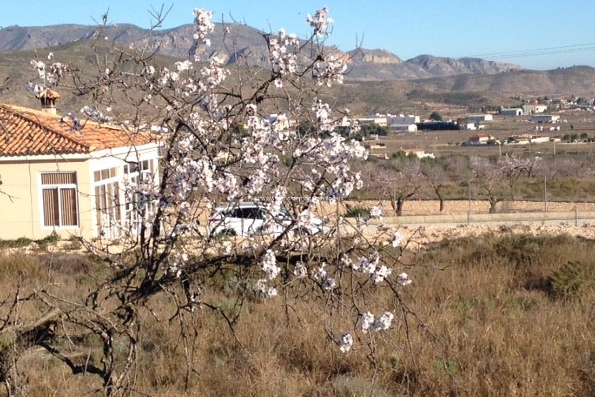 Resale - Plot - Hondon De Los Frailes