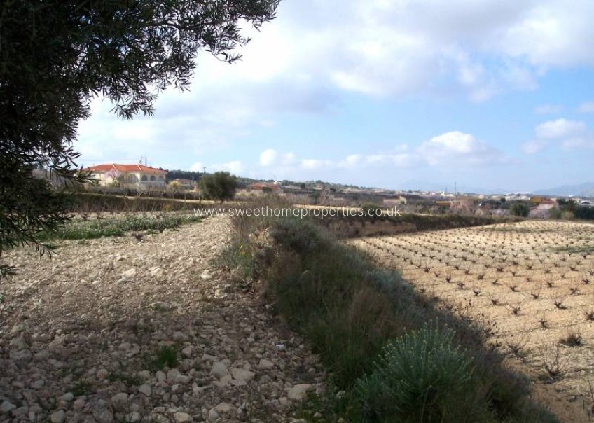 Resale - Plot - Hondon De Los Frailes