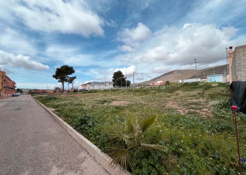 Resale - Plot - Hondon De Los Frailes