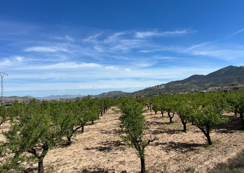 Resale - Plot - Hondon De Los Frailes