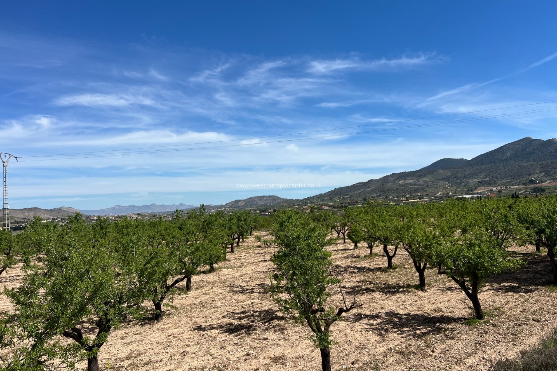 Resale - Plot - Hondon De Los Frailes