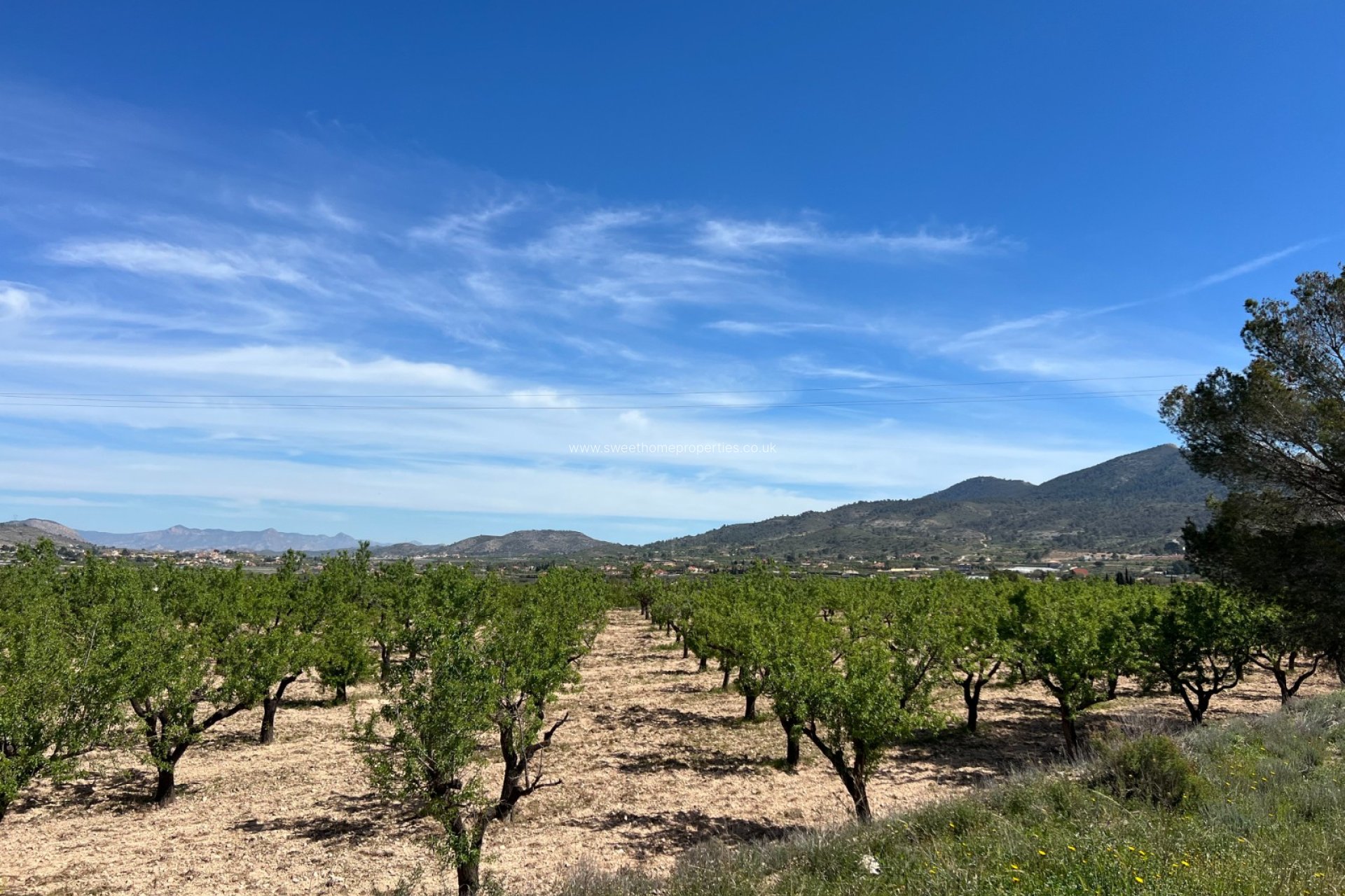 Resale - Plot - Hondon De Los Frailes