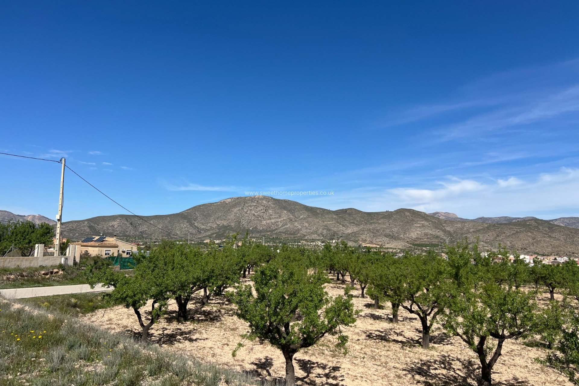 Resale - Plot - Hondon De Los Frailes