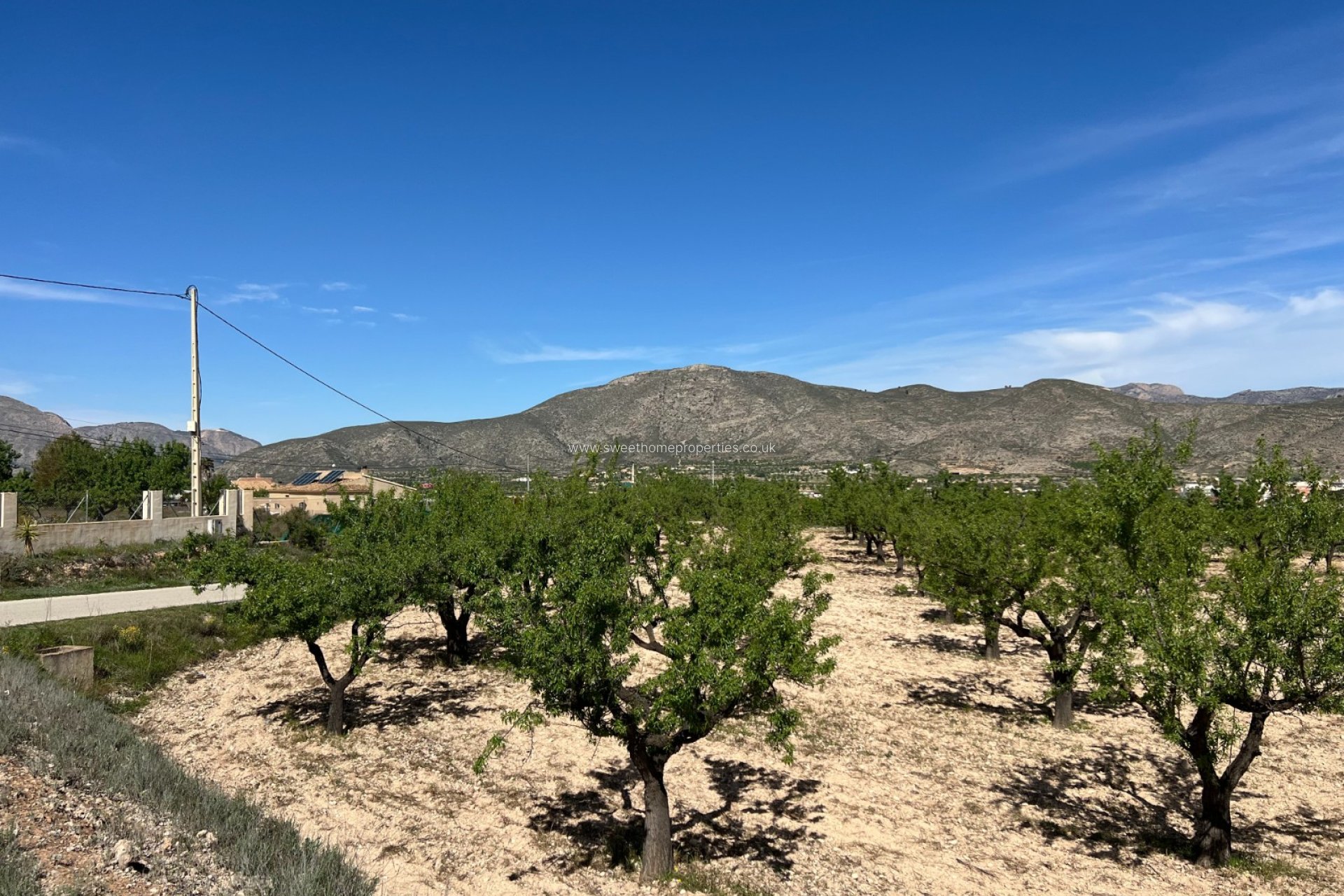 Resale - Plot - Hondon De Los Frailes