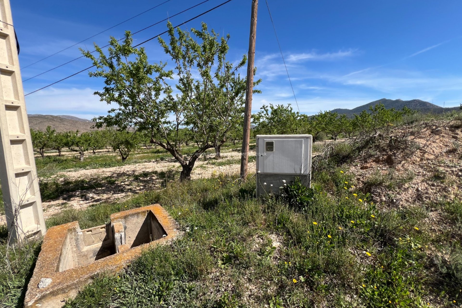 Resale - Plot - Hondon De Los Frailes