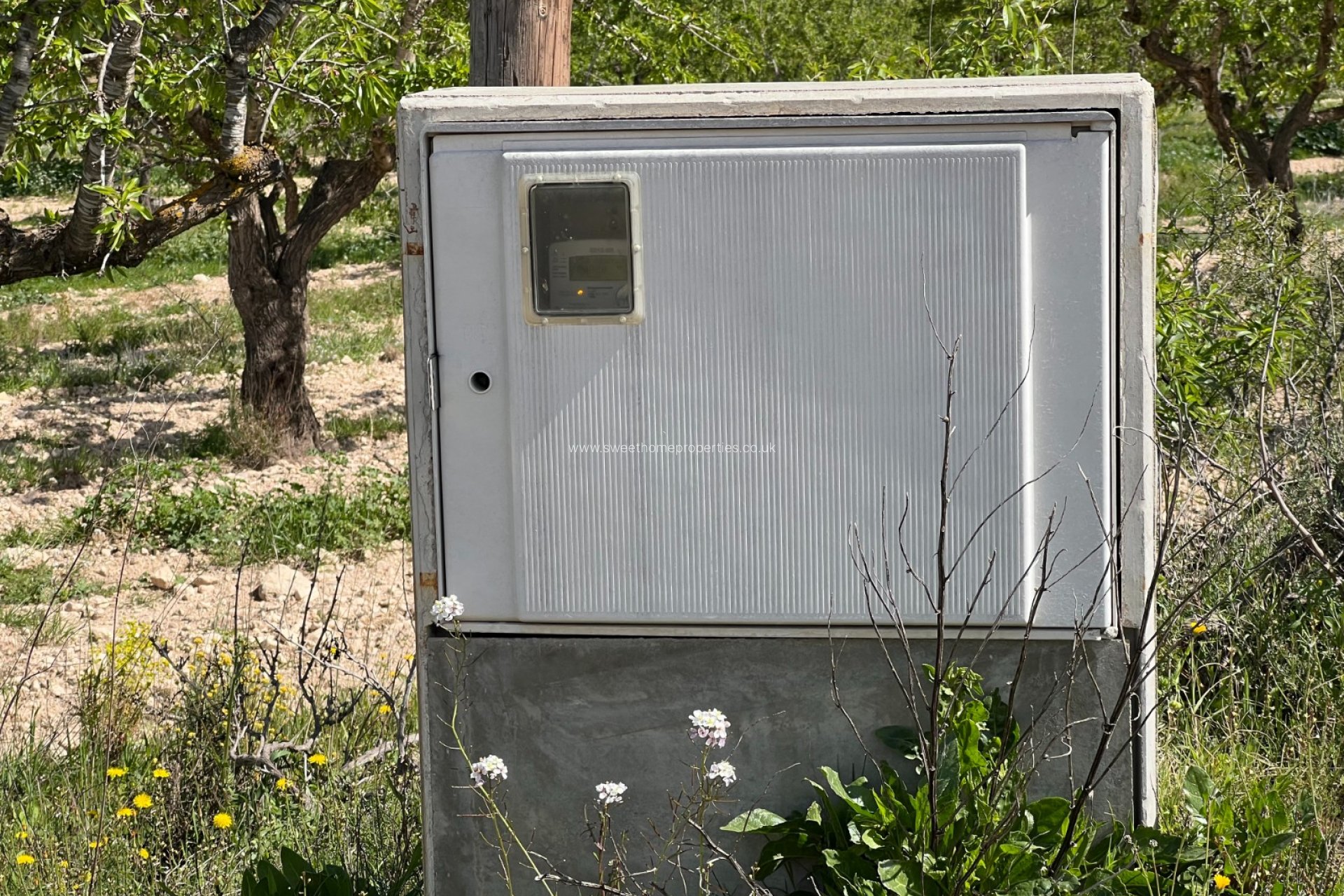 Resale - Plot - Hondon De Los Frailes