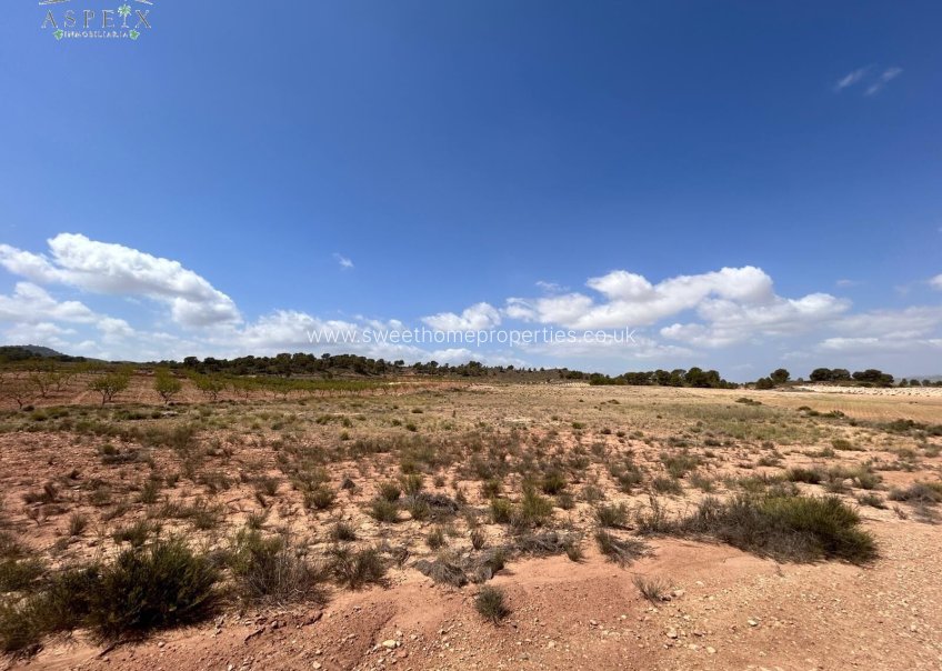 Resale - Plot - Jumilla - JUMILLA RURAL