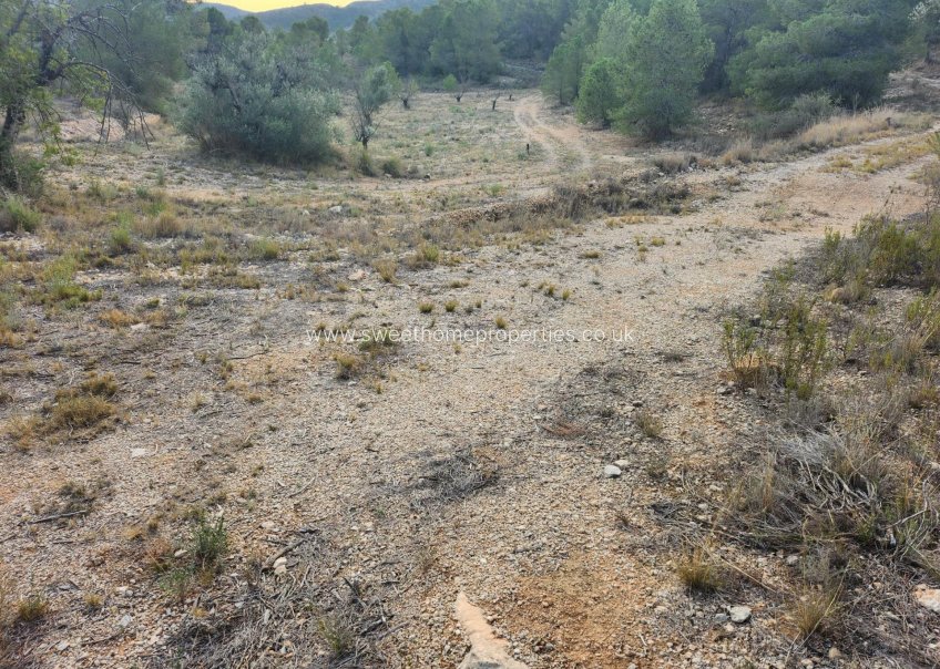 Resale - Plot - La Romana - A diez minutos