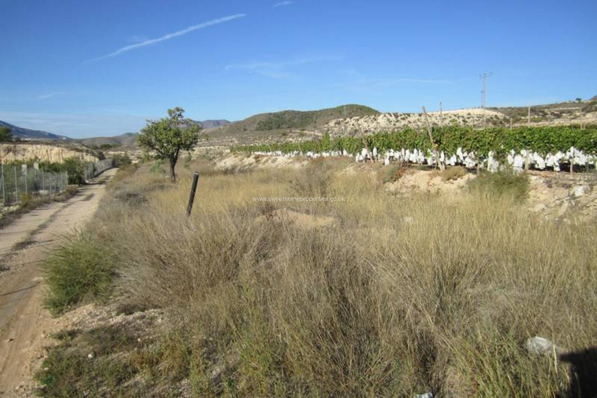 Resale - Plot - La Romana - BOQUERA