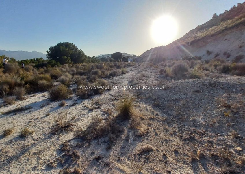 Resale - Plot - La Romana - Comunidad valenciana