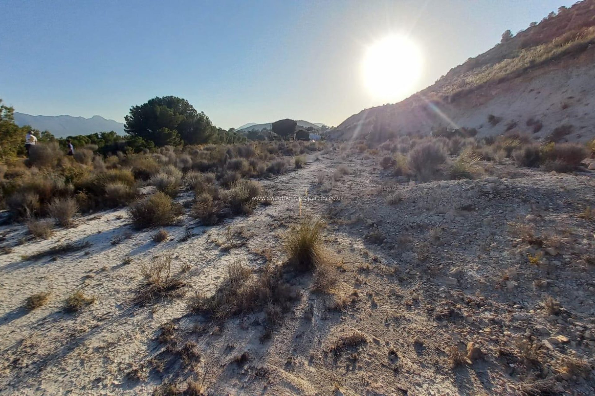 Resale - Plot - La Romana - Comunidad valenciana