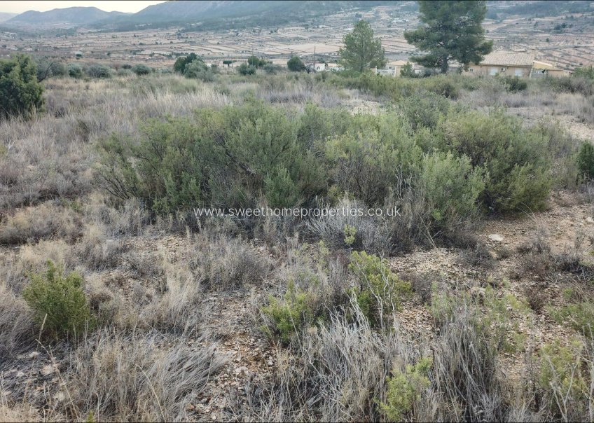 Resale - Plot - La Romana - EL ALGAYAT