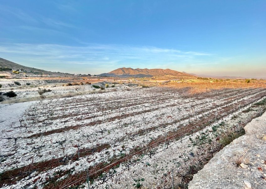 Resale - Plot - La Romana - Los joveres