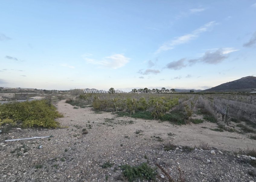 Resale - Plot - La Romana - Los joveres