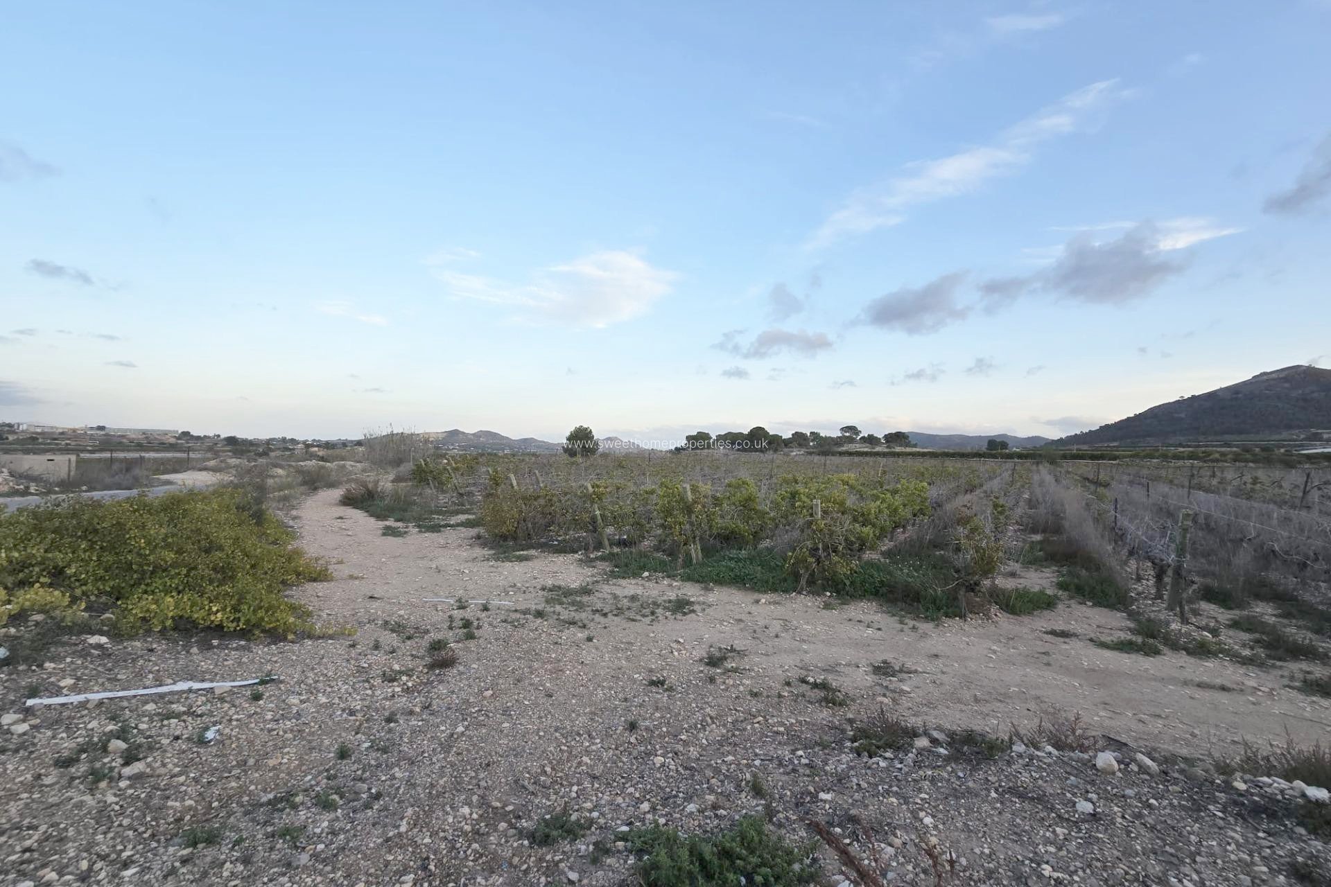 Resale - Plot - La Romana - Los joveres