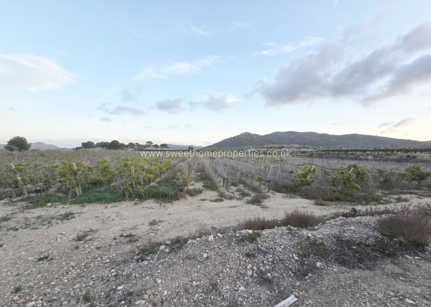 Resale - Plot - La Romana - Los joveres