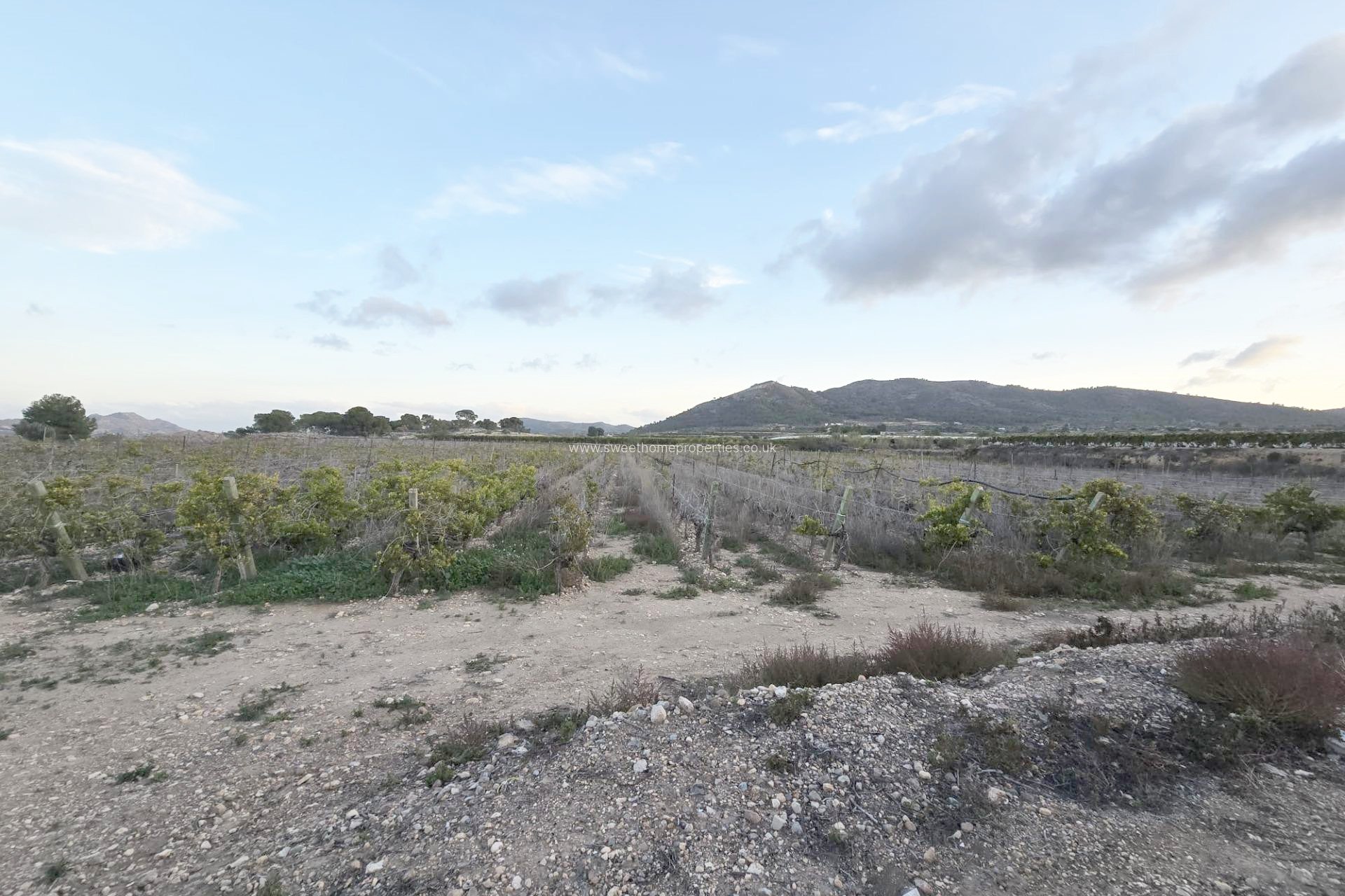 Resale - Plot - La Romana - Los joveres