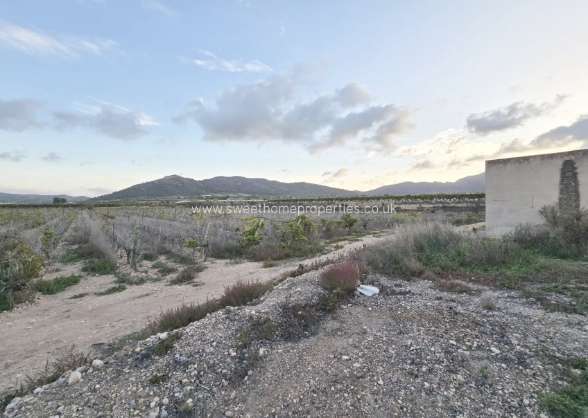 Resale - Plot - La Romana - Los joveres