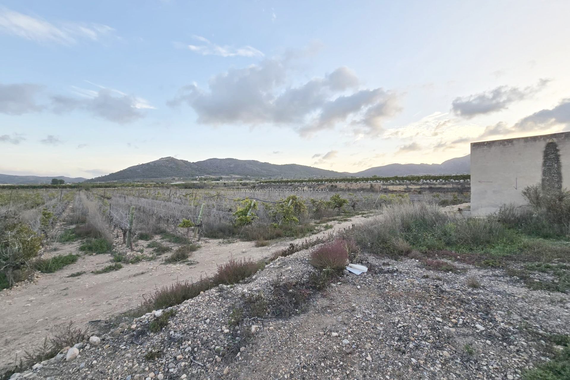 Resale - Plot - La Romana - Los joveres