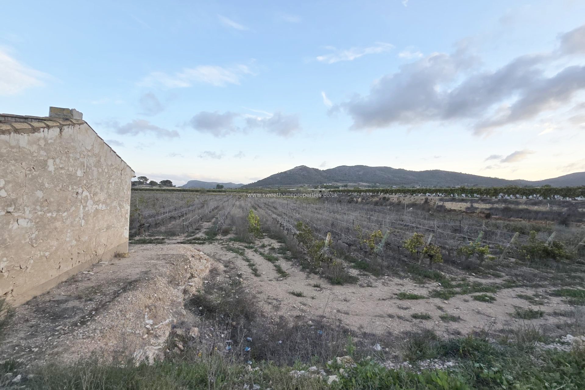 Resale - Plot - La Romana - Los joveres