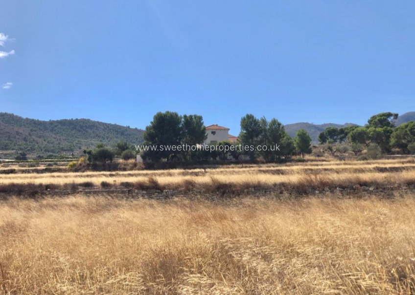 Resale - Plot - La Romana - LOS PALAOS