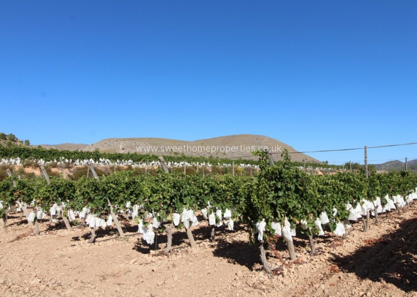 Resale - Plot - La Romana - PARTIDA DE LA BOQUERA