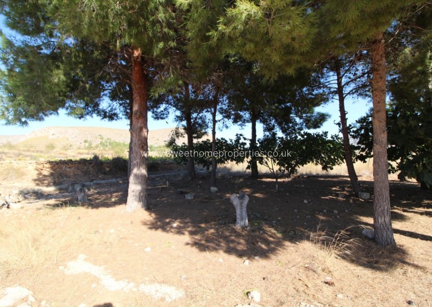 Resale - Plot - La Romana - PARTIDA DE LA BOQUERA