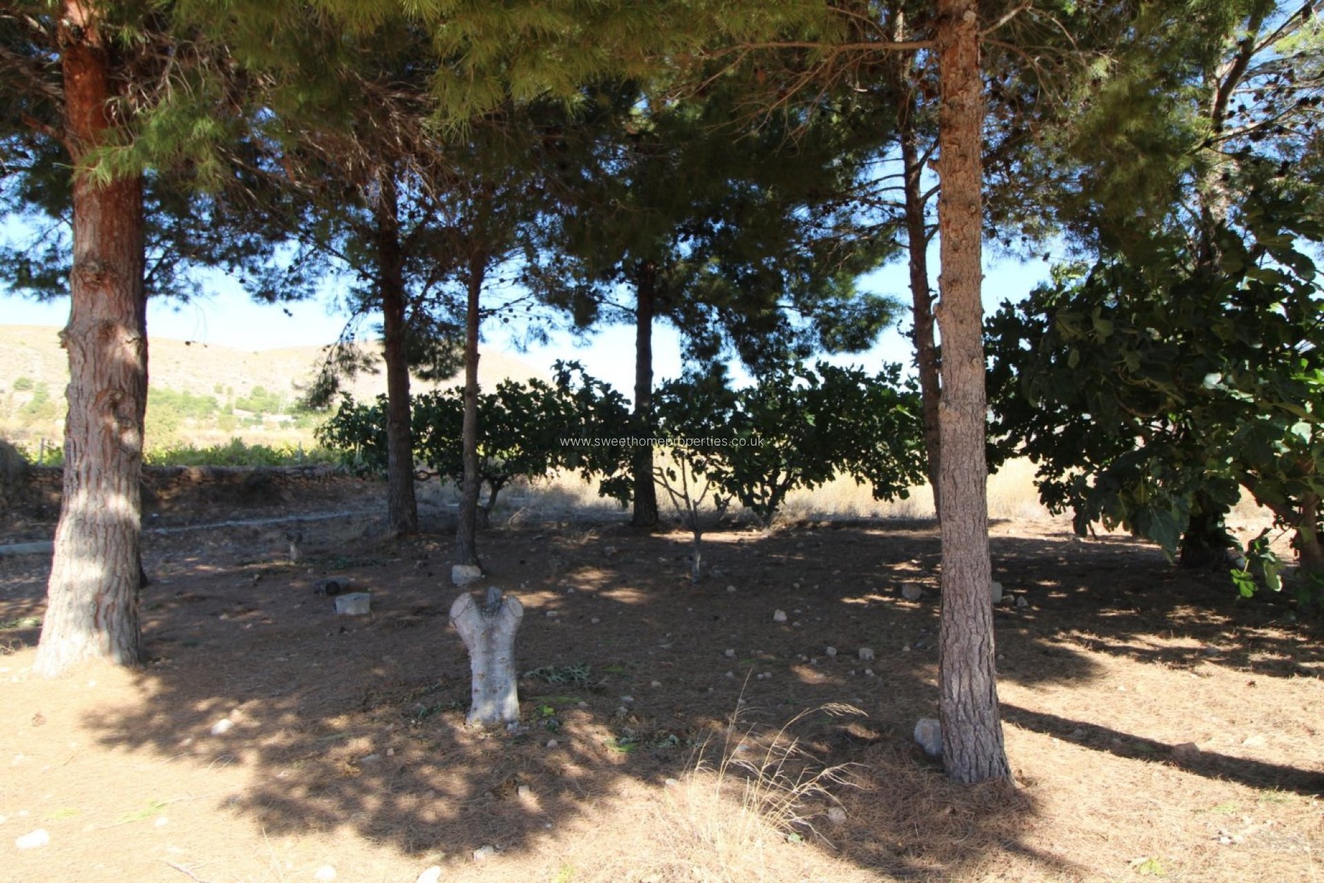 Resale - Plot - La Romana - PARTIDA DE LA BOQUERA