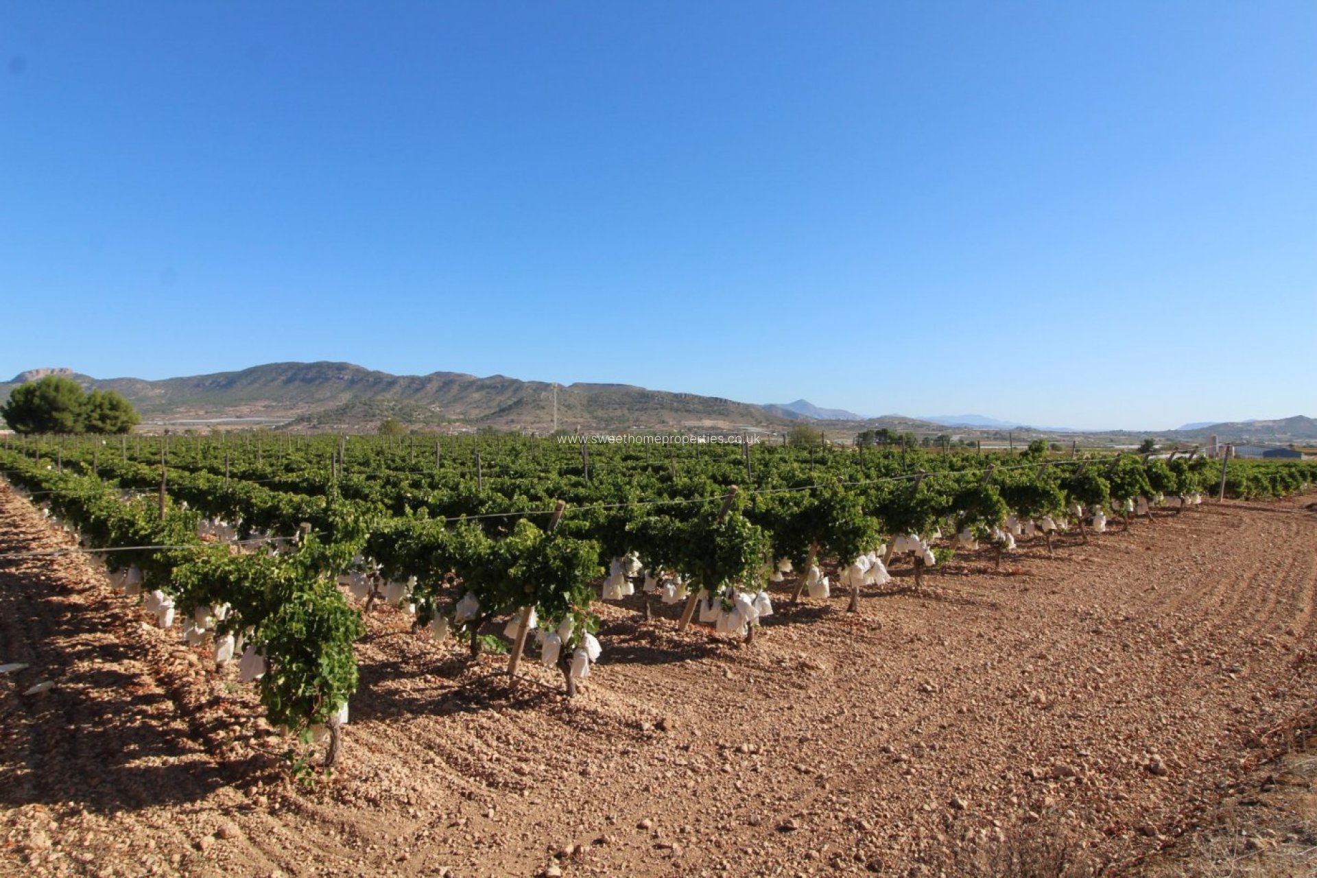 Resale - Plot - La Romana - PARTIDA DE LA BOQUERA