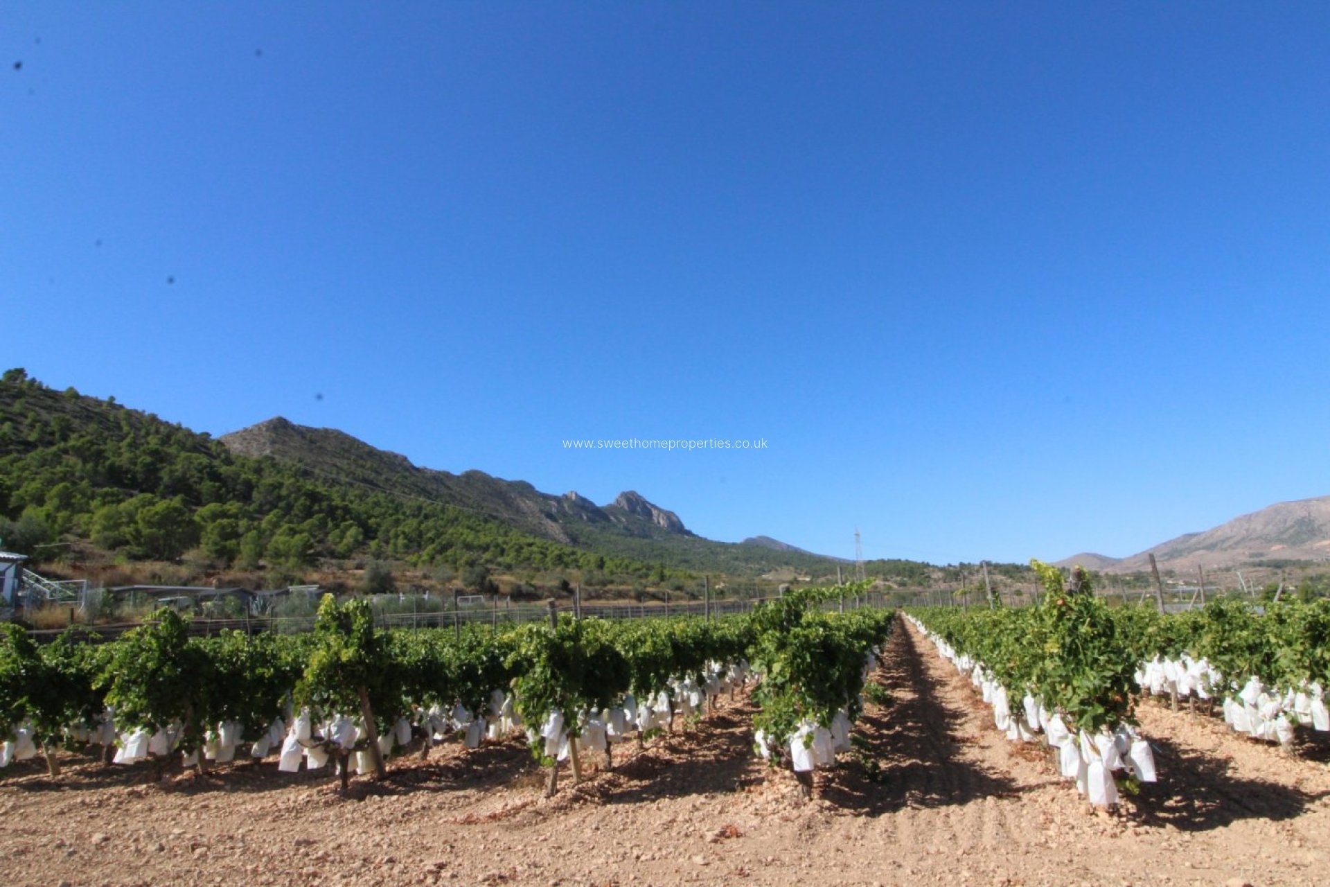 Resale - Plot - La Romana - PARTIDA DE LA BOQUERA