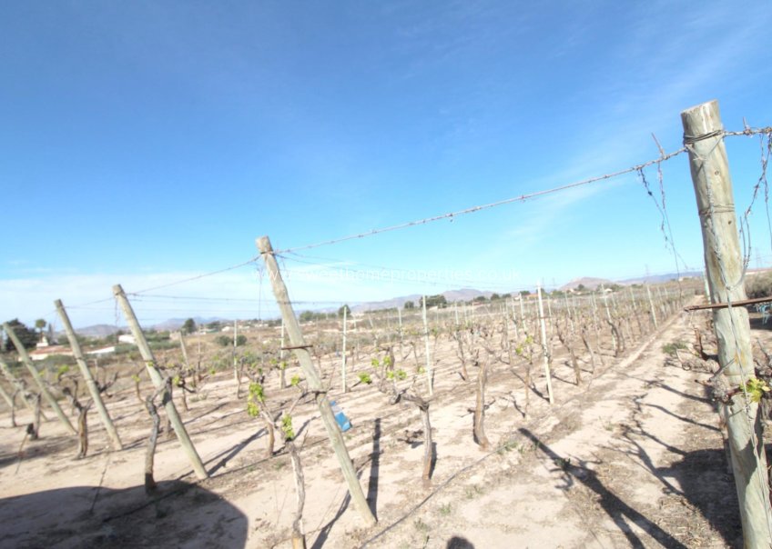 Resale - Plot - Monforte del Cid - El secano