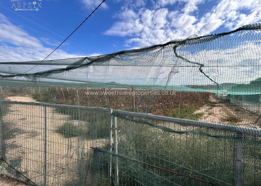 Resale - Plot - Monforte del Cid