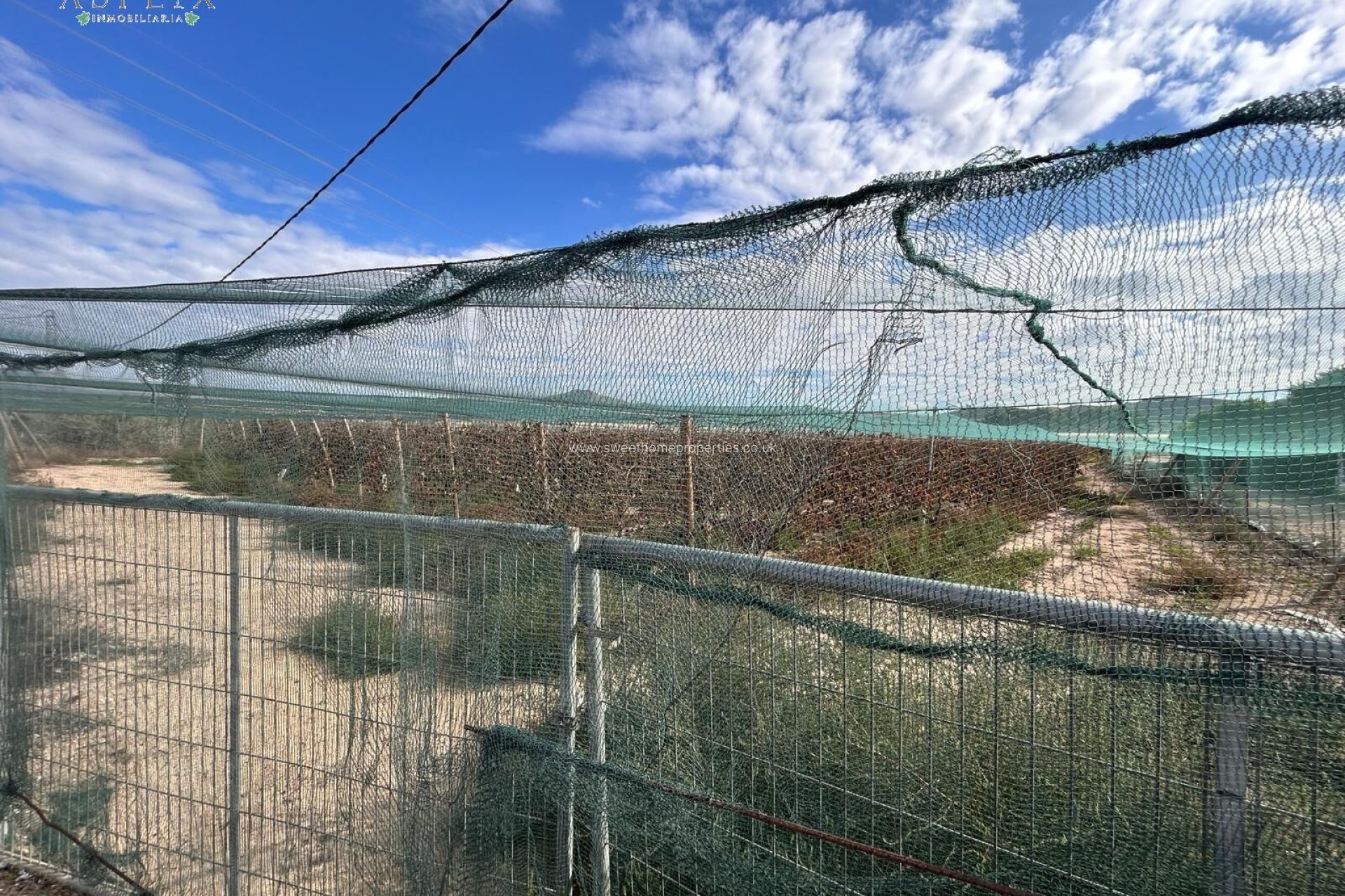 Resale - Plot - Monforte del Cid