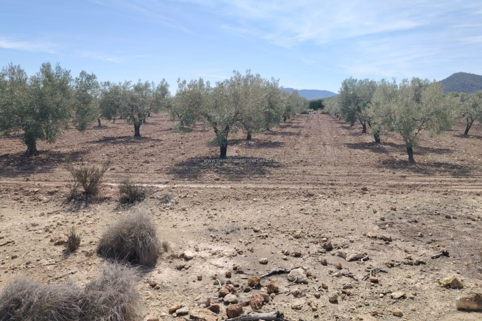 Resale - Plot - Monovar - Casas del Señor