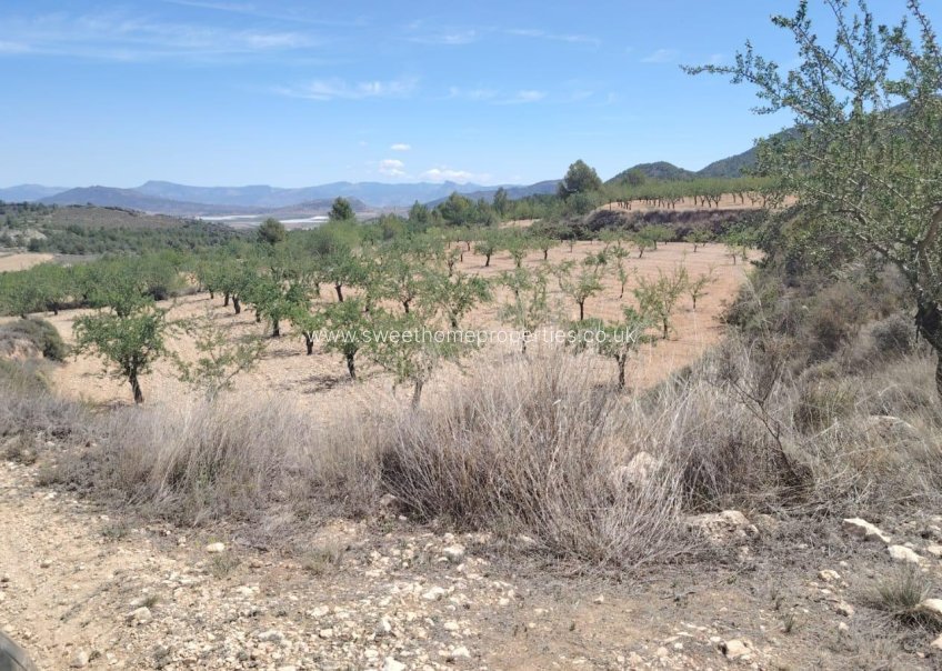 Resale - Plot - Monovar - Casas del Señor