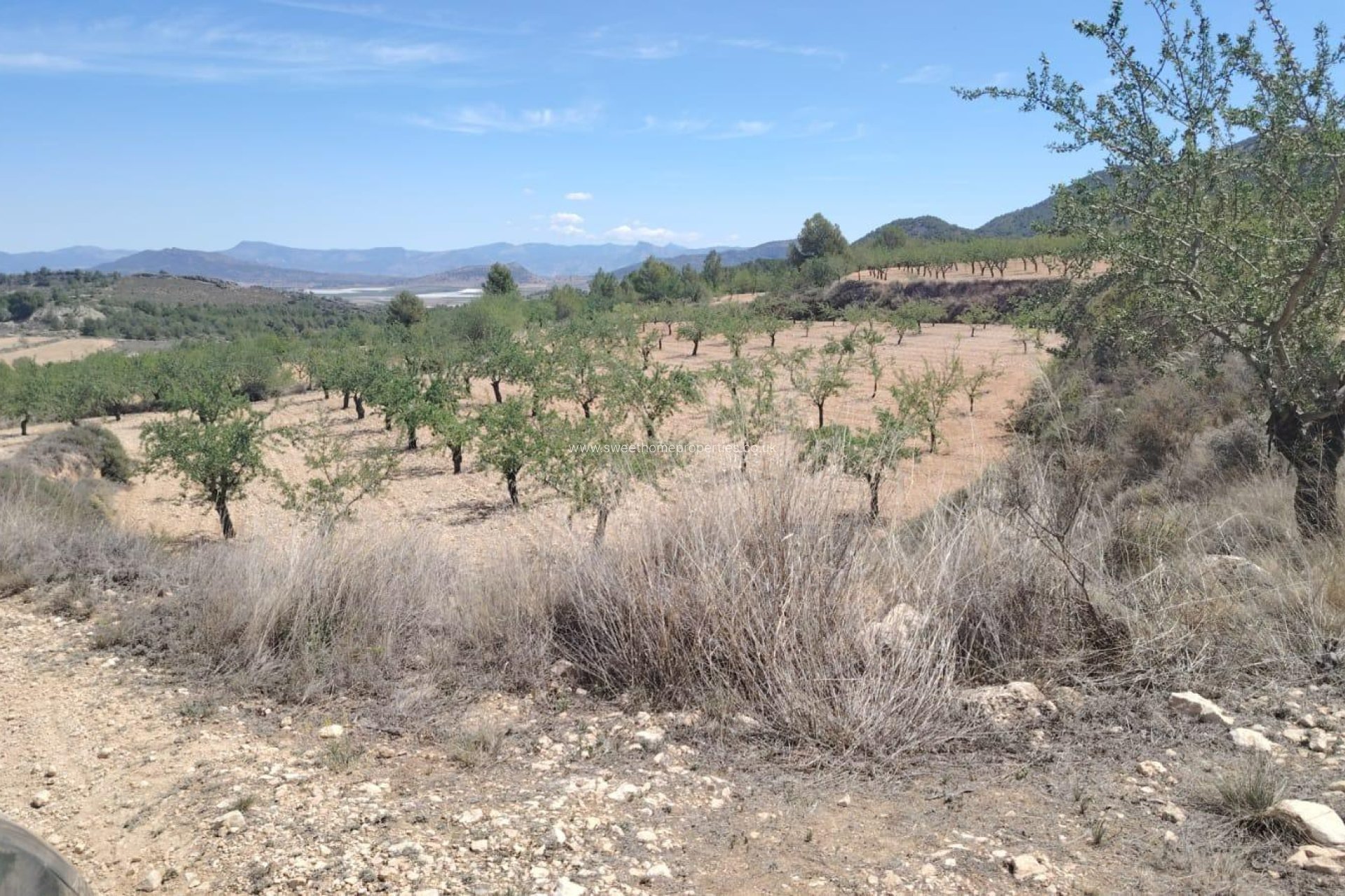 Resale - Plot - Monovar - Casas del Señor