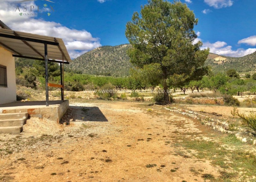 Resale - Plot - Monovar - LA ROMANETA