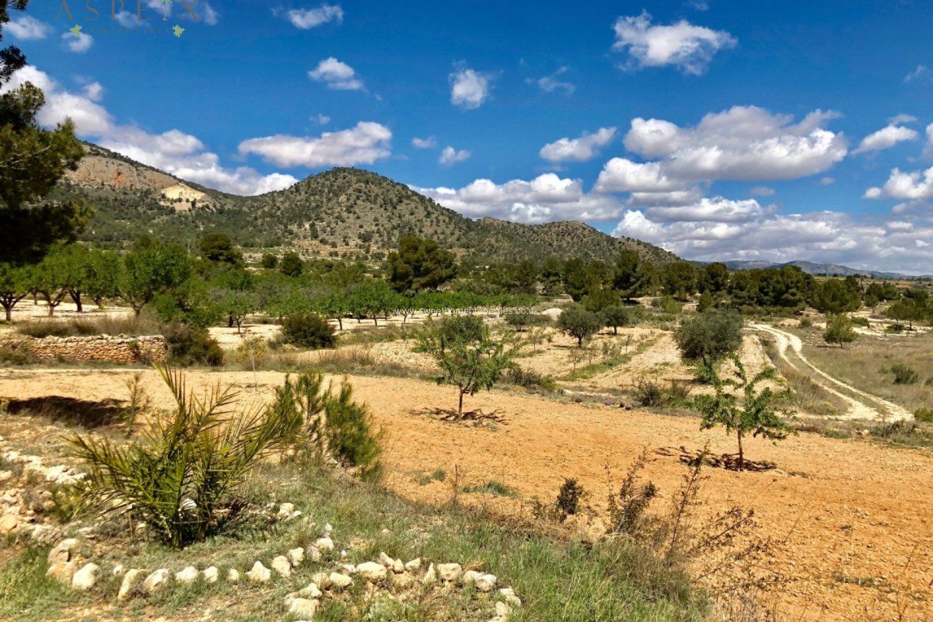 Resale - Plot - Monovar - LA ROMANETA