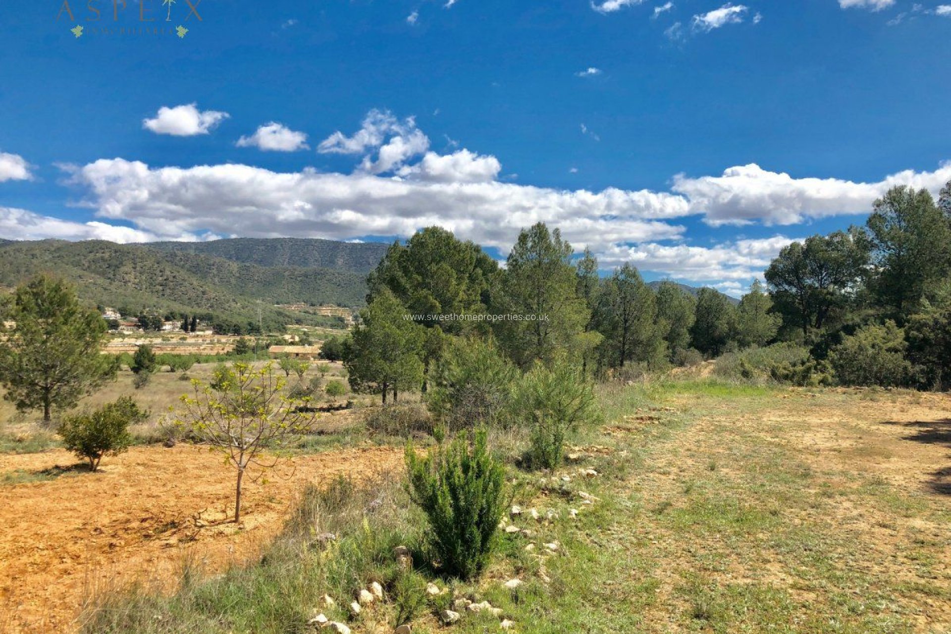 Resale - Plot - Monovar - LA ROMANETA