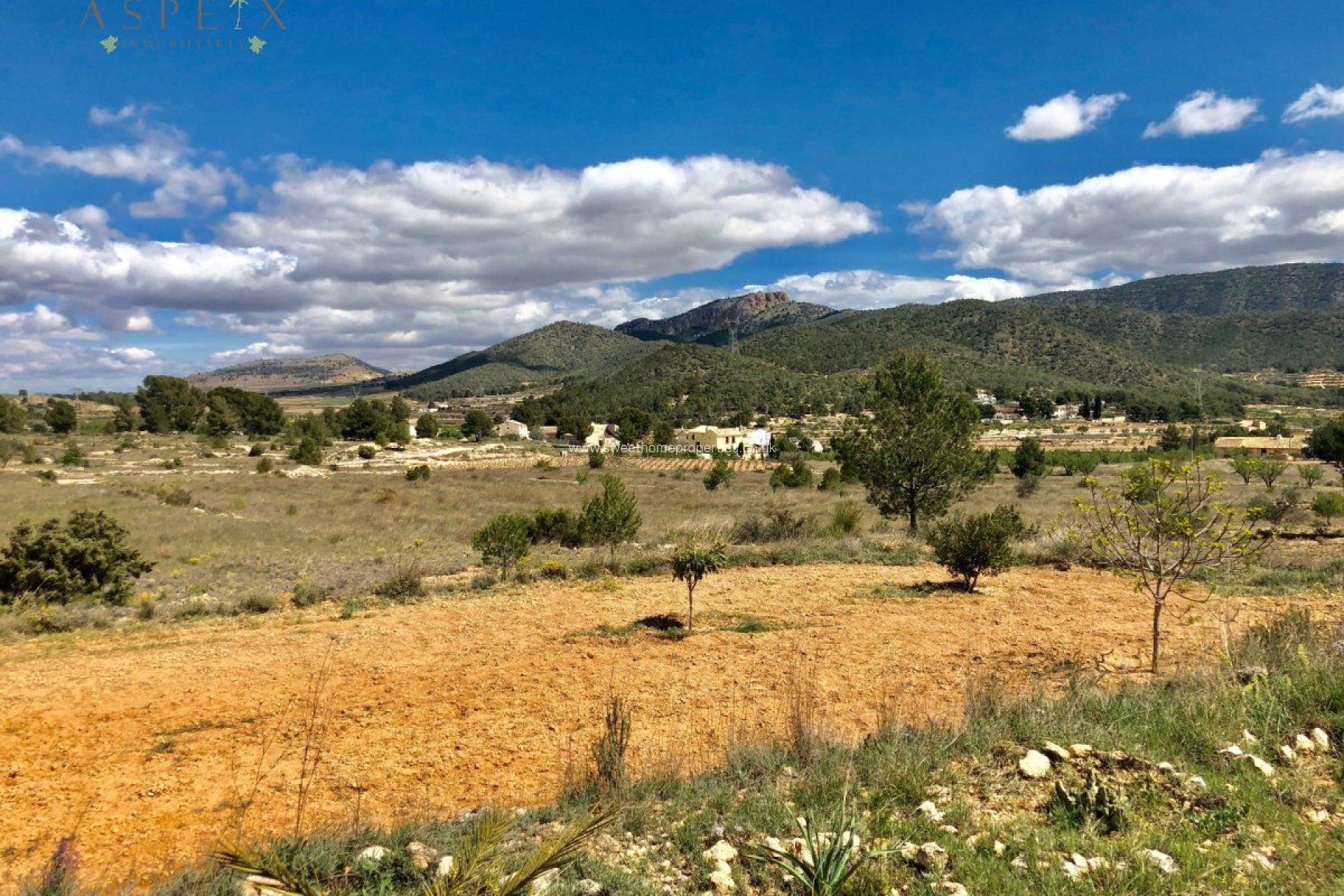 Resale - Plot - Monovar - LA ROMANETA